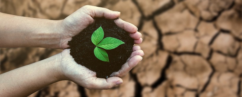 Gestión Ambiental