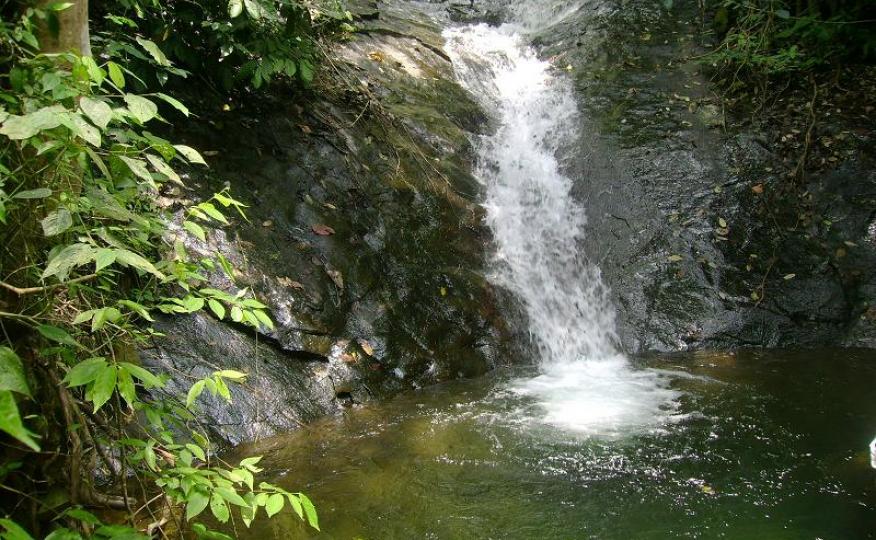 Concesión de agua