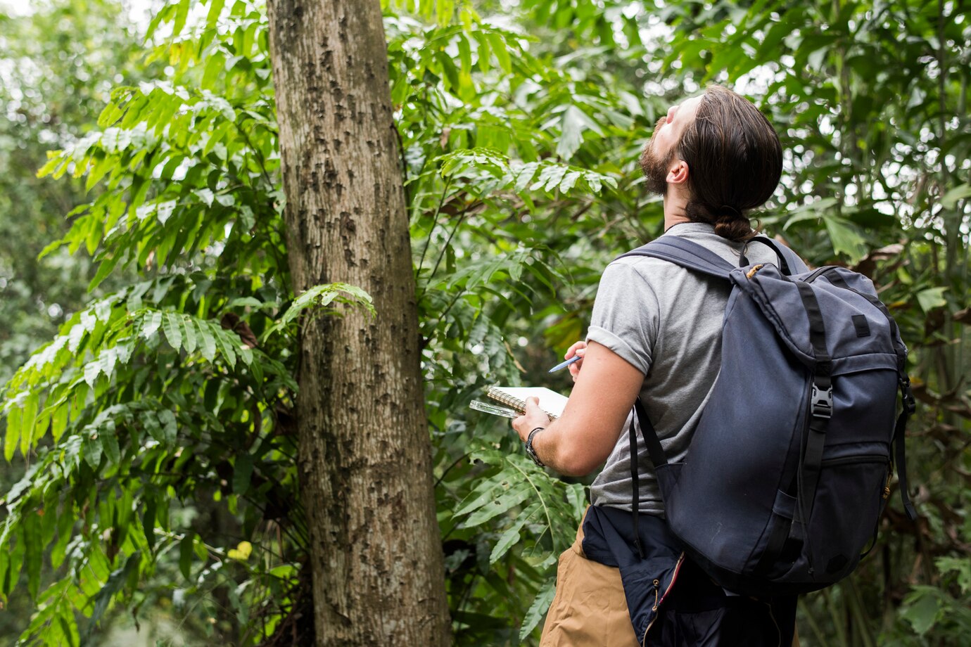 Caracterización de Fauna